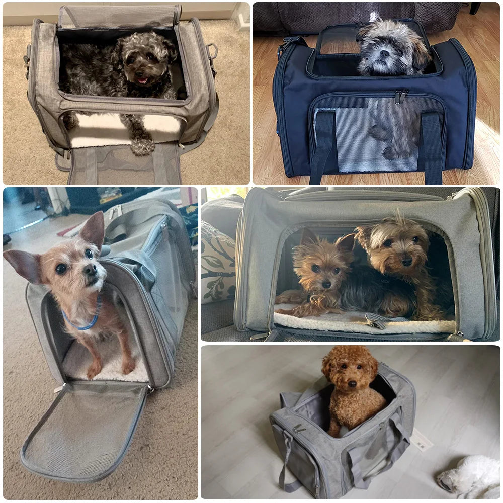 Soft-Sided Pet Carrier Bag – Airline Approved with Claw-Defense Mesh & Removable Fleece Pad