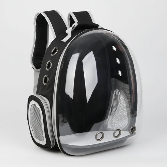 Clear pet backpack with black straps on a white background