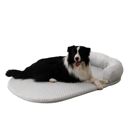 Dog lying on a round, cushioned pet bed with a white background