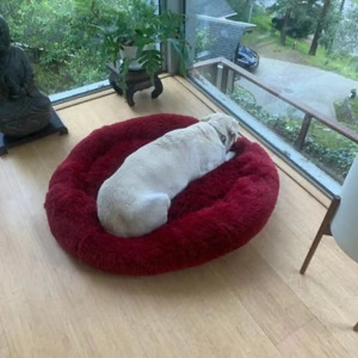 Calming Donut Pet Bed – Orthopedic Round Bed for Dogs and Cats