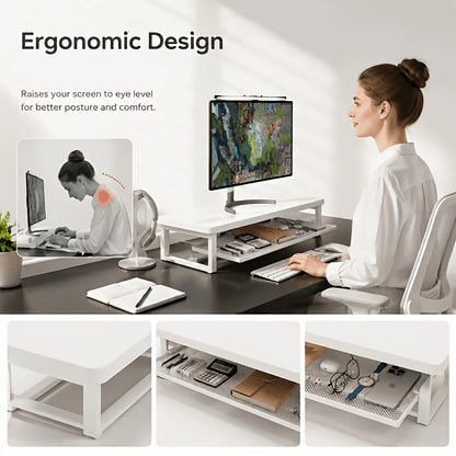 Desktop Monitor Riser with Storage Organizer for Home Office and Gaming