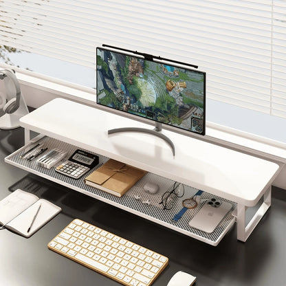 Desktop Monitor Riser with Storage Organizer for Home Office and Gaming