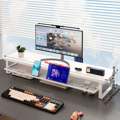Desktop Monitor Riser with Storage Organizer for Home Office and Gaming