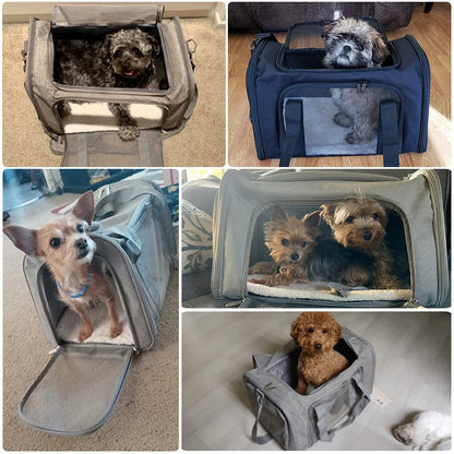 Soft-Sided Pet Carrier Bag – Airline Approved with Claw-Defense Mesh & Removable Fleece Pad